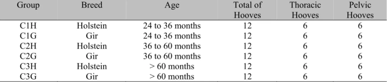 Table 1. Distribution of female adult bovine hoof groups by age group and breed. 