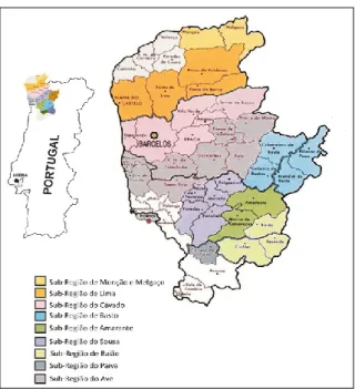 Figura  1-  Região  demarcada  dos  Vinhos  Verdes  e  respetivas  sub-regiões.  Adaptado  da  Adega  Cooperativa  de  Barcelos