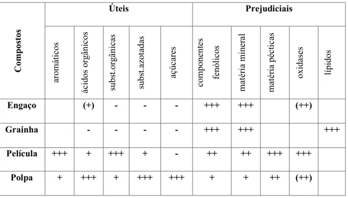 Tabela 2 – Distribuição dos vários compostos na uva (Burin, 2014). 