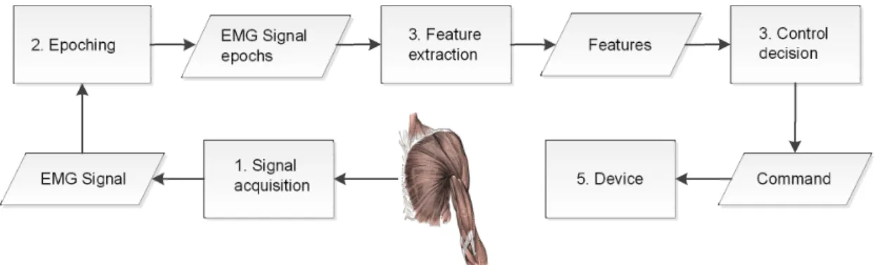 Figure 3.1: sEMG signal is acquired and epochs are extracted. Features are extracted from epochs and feed a control decision system setting the command to the controlled device.
