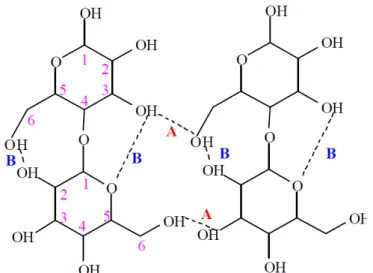 Figura 2: Representação das ligações de hidrogênio intermoleculares (A) e intramoleculares (B) na  estrutura da celulose