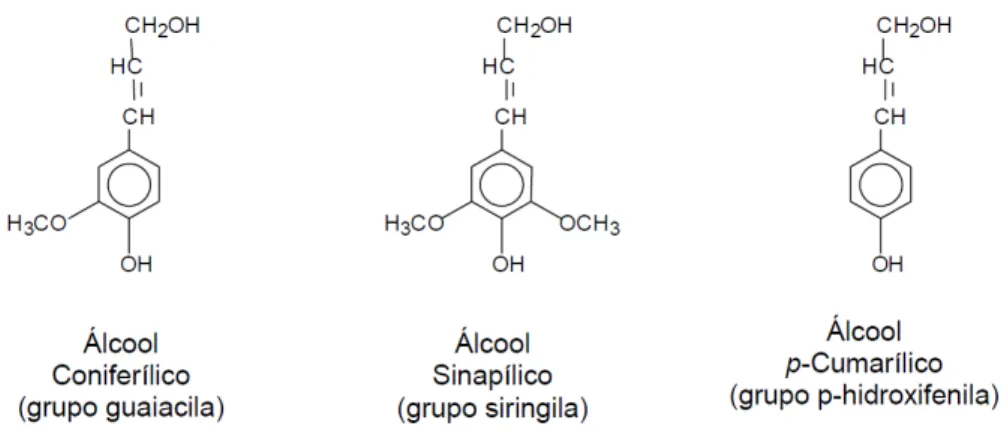Figura 6: Unidades precursoras da lignina ( D’Almeida, 1988 ) 