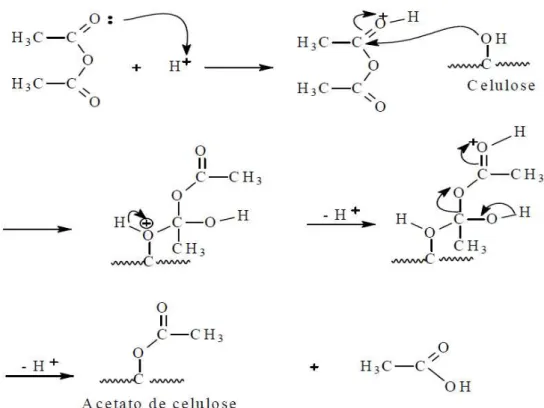 Figura 8: Mecanismo proposto para reação de acetilação do acetato de celulose. 