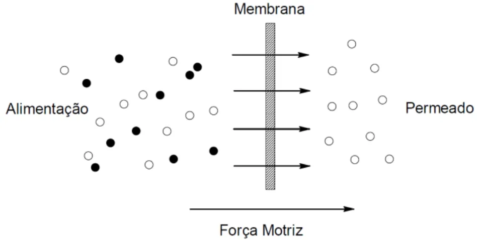 Figura 9: Representação esquemática do processo de separação por membranas. 