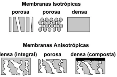 Figura 10: Esquema da morfologia da secção transversal dos diferentes tipos de morfologia de  membranas (Habert  et al