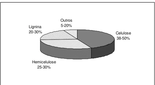 Figura 1: Composição química média do bagaço de cana-de-açúcar. 