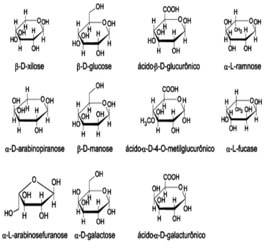 Figura 4: Açúcares que compõem as unidades de hemiceluloses [15]. 
