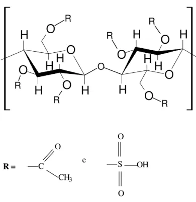 Figura 6: Estrutura do sulfato de acetato de celulose. 