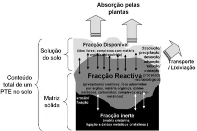 Figura 1 – Esquema representativo da distribuição dos PTEs nos solos: a importância das diferentes frações e  os processos que ocorrem do solo variam de acordo com o elemento de interesse e com as condições 