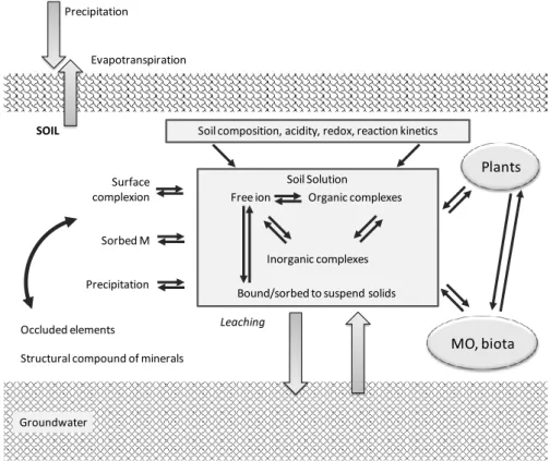 Figure 3 – Schematic representation of various pools of metals in the soil system. 
