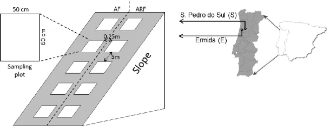 Figure 5 – Location of sampling sites (Ermida and S. Pedro do Sul) and design for soil and ash sampling