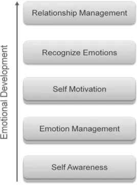 Fig. 1 – Process of emotional development [9] 