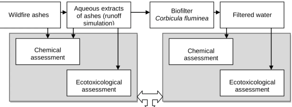 Figure  2:  Schematic  representation  of  the  integrative  experimental  approach  followed  in  the  present  study