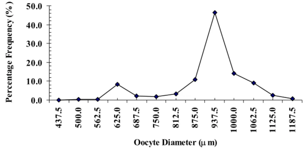 Figure 1. Oocyte diameter distribution in P. fasciatum - sample 0 (A0). 