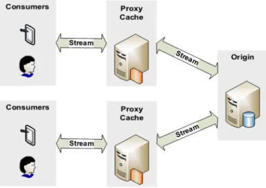 Figure 2.3: Proxy Cache OTT delivery.