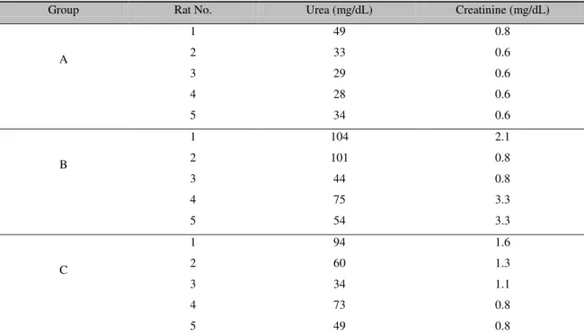 Table 4. Levels of serum urea and creatine in individual rats submitted to experimental poisoning  with  Tityus serrulatus venom 