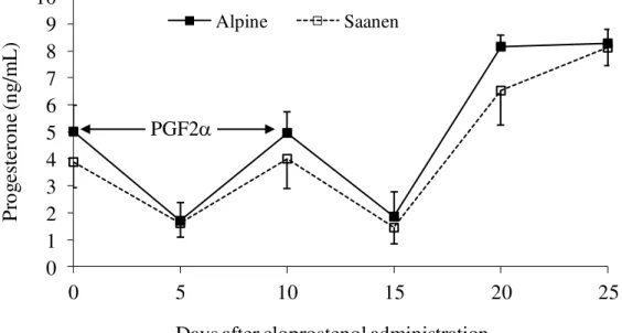 Figure 2. Plasma progesterone concentration (ng/mL) of nulliparous Alpine and Saanen goats submitted  to estrous synchronization with two doses of 22.5 g cloprostenol (PGF2) 10 days apart