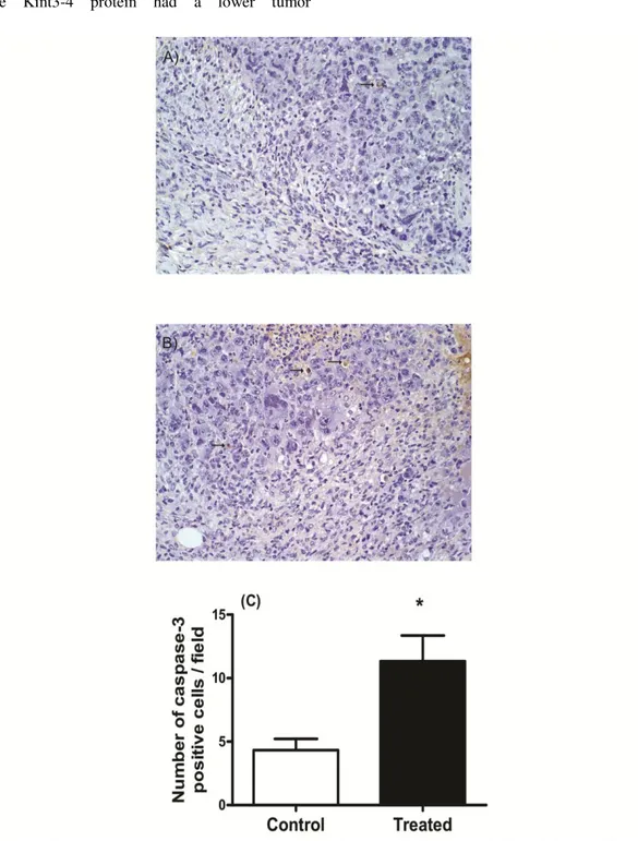 Figure 2. Immunohistochemical reaction for caspase-3 (clone Ab4) protein in Ehrlich tumor