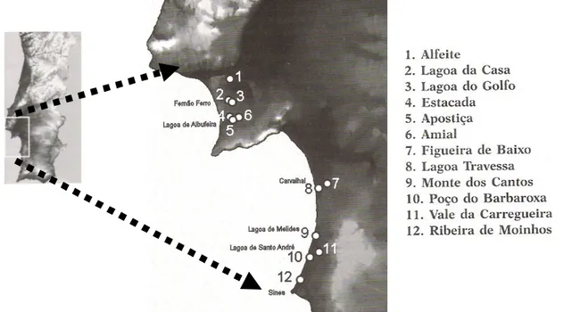 Figura  I.7.  –  Locais  do  Litoral  Norte  Alentejano  estudados  pela  equipa  do  Laboratório  de  Paleoecologia (Queiroz e Mateus, 2004)