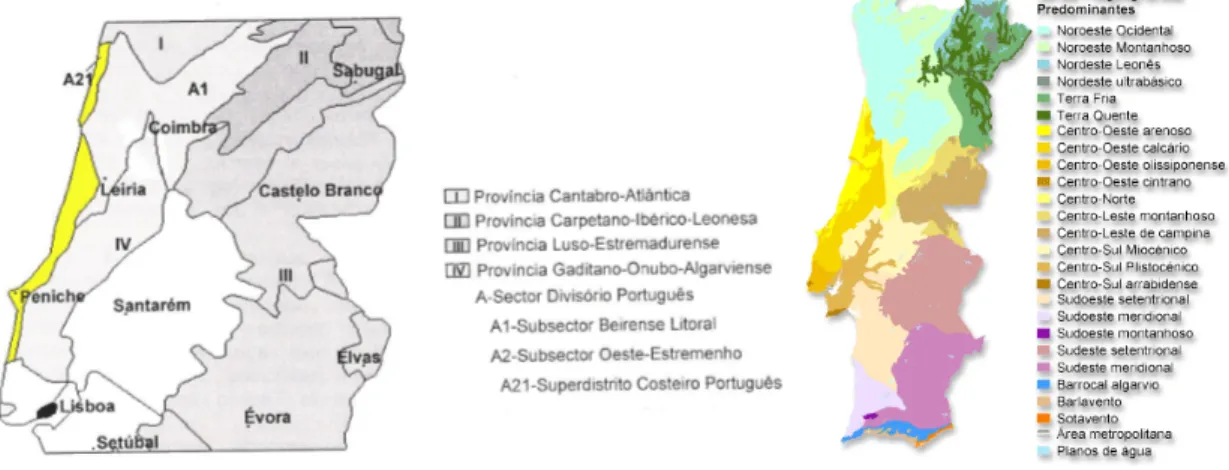 Figura  II.10  –  A.  Mapa  biogeográfico  de  Portugal  continental  destacando  o  Superdistrito  Costeiro  Português  (Adaptado  de  Costa  et  al.,  1999)