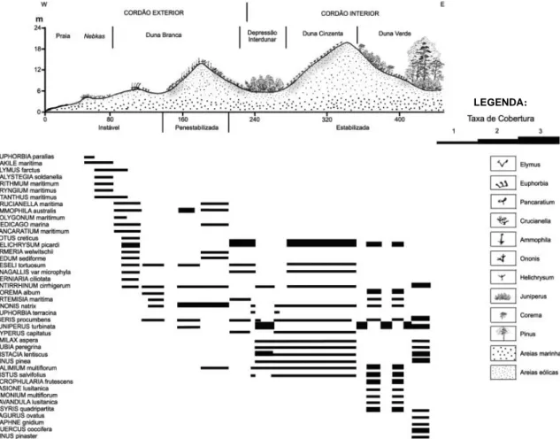Figura  II.11  –  Perfil morfo-ecológico dos cordões dunares da Nazaré  (Henriques  e Neto,  2002; Henriques, 2005)