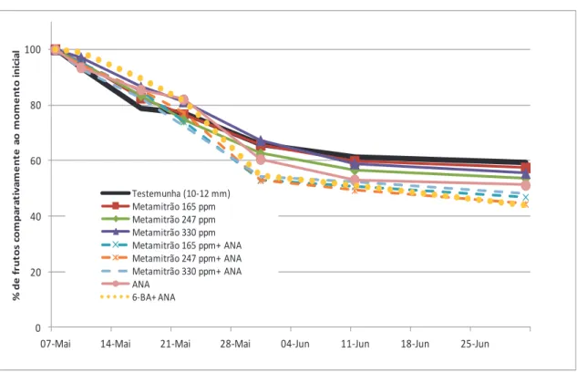 Fig.  16:  Evolução  da  percentagem  de  frutos  existente  em  comparação  com  o  momento  inicial  comparando  modalidades com metamitrão e modalidades com a mistura de metamitrão e ANA