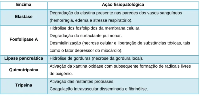 Tabela 2 – Função das diferentes enzimas envolvidas na fisiopatologia da doença (Adaptado de  Williams 2005)