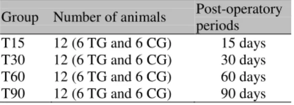 Table  1.  Experimental  groups,  number  of  animals per group and post-operatory periods  Group  Number of animals  Post-operatory 
