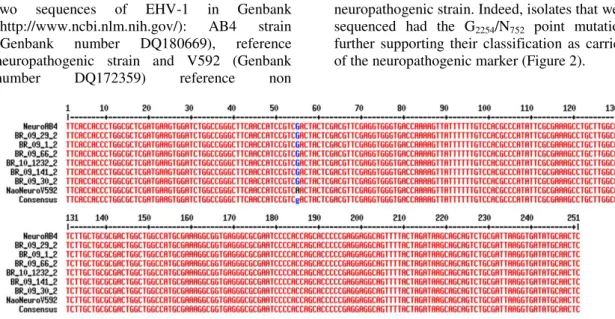 Figure  2.  Alignment  of  partial  sequences  of  EHV-1  ORF30  gene  from  the  field  isolates  BR09_1_2,  BR09_29_2,  BR09_30_2,  BR09_66_2,  BR09_141_2,  and  BR10_1232_1  with  AB4  strain  (Genbank  number DQ180669), reference neuropathogenic strain