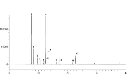 Figure 2. Identified compounds in the extracted essential oil from aerial parts of Rosmarinus officinalis L