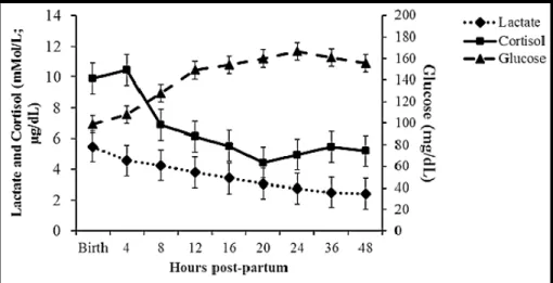 Figure 2. Lactate, glucose and cortisol concentrations in 20 foals at birth and 4, 8, 12, 16, 20, 24, 36 and  48 hours postpartum