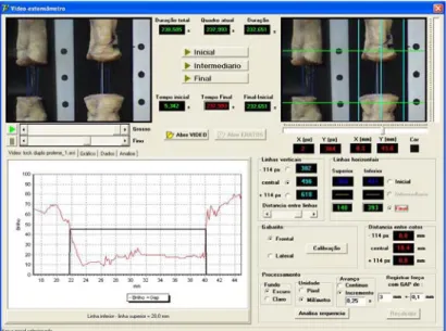 Figure 3. Video extensometry software: selection of the last frame (LED off; end of the trial)