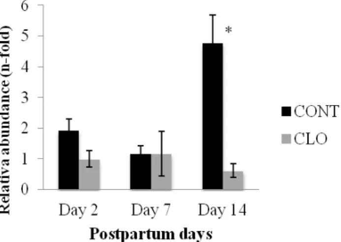 Figure  4.  Mean  (±SEM)  postpartum  gene  expression  of  endometrial  oxytocin  receptor  (OXTR)