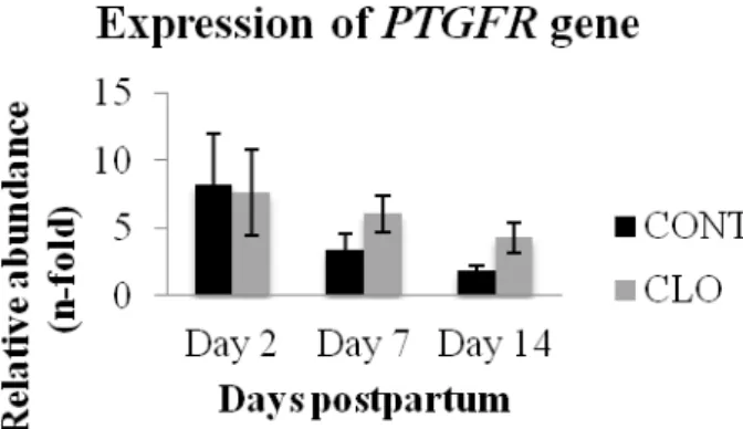 Figure 5. Mean (±SEM) postpartum gene expression of endometrial prostaglandin F2α receptor (PTGFR)