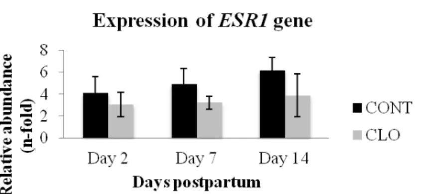 Figure  6.  Mean  (±SEM)  postpartum  gene  expression  of  endometrial  estrogen  receptor  1  (ERS1)