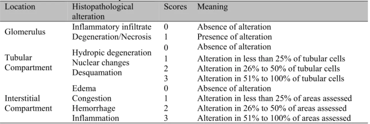 Table 1. Interpretation of scores applied to the analysis of histopathological parameters in kidneys of dogs  submitted to renal ischemia and reperfusion 