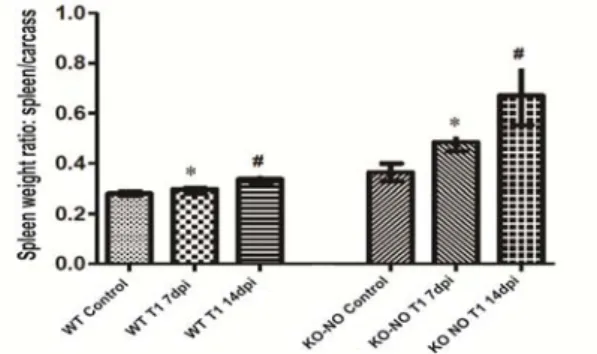 Figure 1.  Mortality  curve for  C57/Black6 KO-NO 