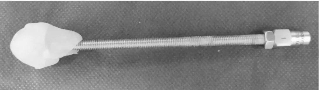 Figure 1. Apparatus used to apply the load on acetabulum. 