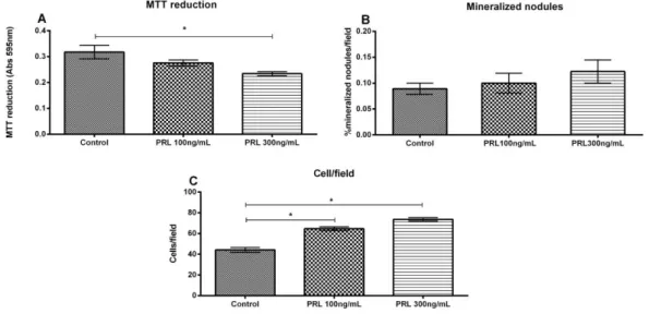 Figure 1. ADSCs cultured in osteogenic medium with and without addition of prolactin after 21 days of  differentiation