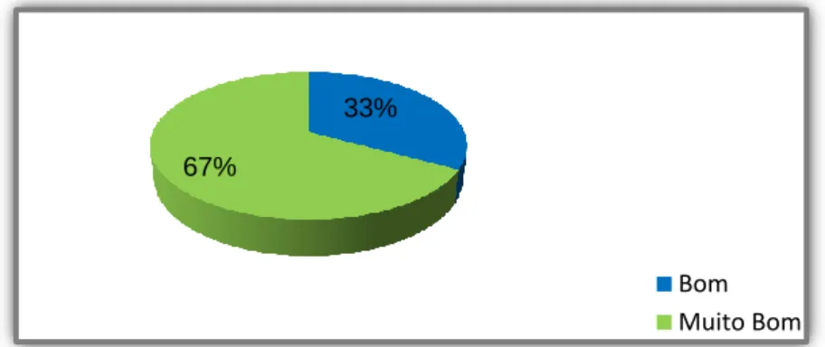 Figura 4 – Resultados da avaliação da atividade na  Área de Estudo do Meio 
