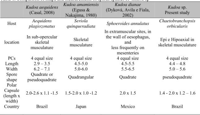 Table 1. Comparison of shape and measurements of spores species of  Kudoa sp  Kudoa aequidens  (Casal, 2008)  Kudoa amamiensis (Egusa &amp;  Nakajima, 1980)  Kudoa dianae  (Dyková, Avila e Fiala, 