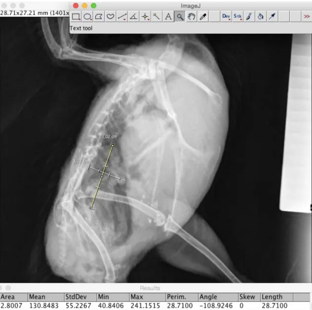 Figure 3. A – Setting the scale by determining in ImageJ software that a penetrometer stair step has 5 mm