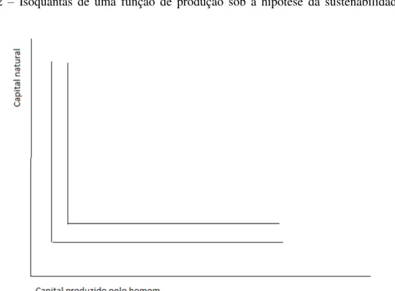 Figura  2  –   Isoquantas  de  uma  função  de  produção  sob  a  hipótese  da  sustenabilidade  forte 