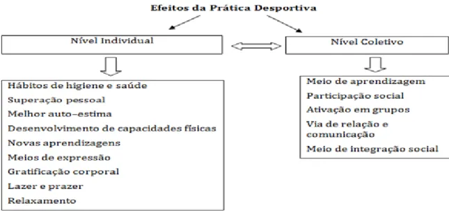 Figura 1 - Efeitos da Prática Desportiva (Cannellas &amp; Soria, 1991) 