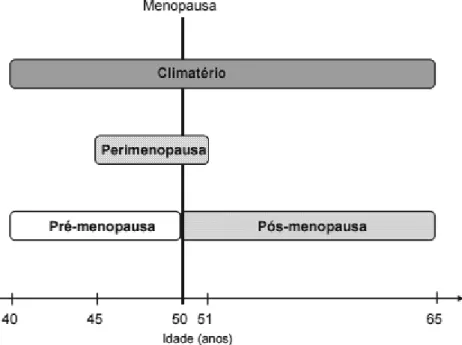 Figura 1 – Fases do climatério 