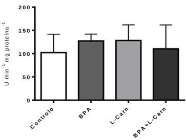 Figura 10 - Atividade da superóxido dismutase em extrato de fígado de ratos submetidos à exposição ao Bisfenol  A e L-Carnitina