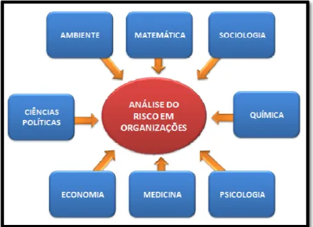 Figura 1. Bases Científicas Fundamentais da Análise do Risco. 