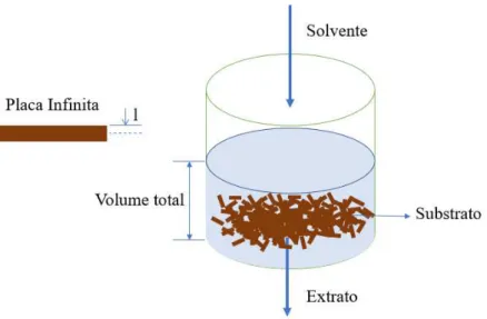 Figura  3  –   Esquema  representativo  da  interface  em  um  extrator  sólido-líquido  de  forma  contínua e a geometria (placa infinita de meia- espessura “l”)  utilizada no modelo