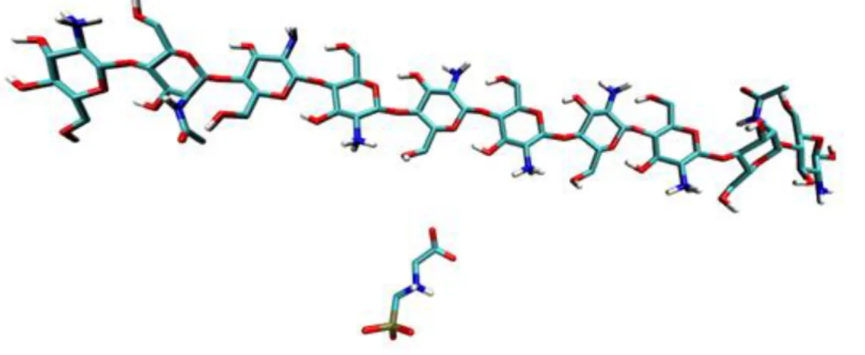 Figura  19  –   Sistema  contendo  um  filamento  de  quitosana  e  uma  molécula de glifosato