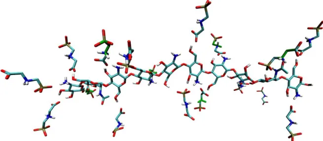 Figura  20  -  Sistema  simulado,  contendo  um  filamento  de  quitosana  circundado por 19 moléculas de glifosato